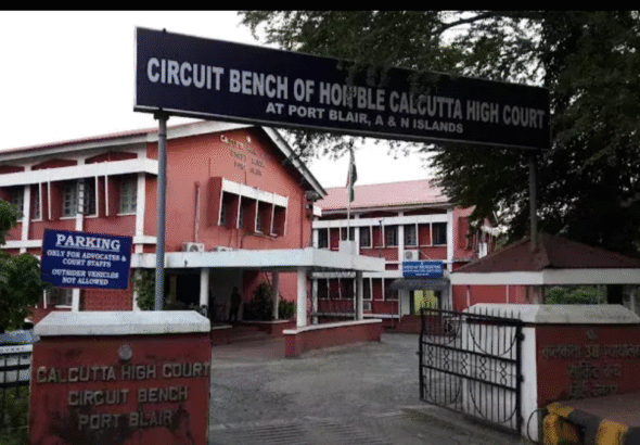 screenshot 20260303 115213.chatgpt.png