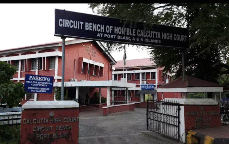 screenshot 20260303 115213.chatgpt.png